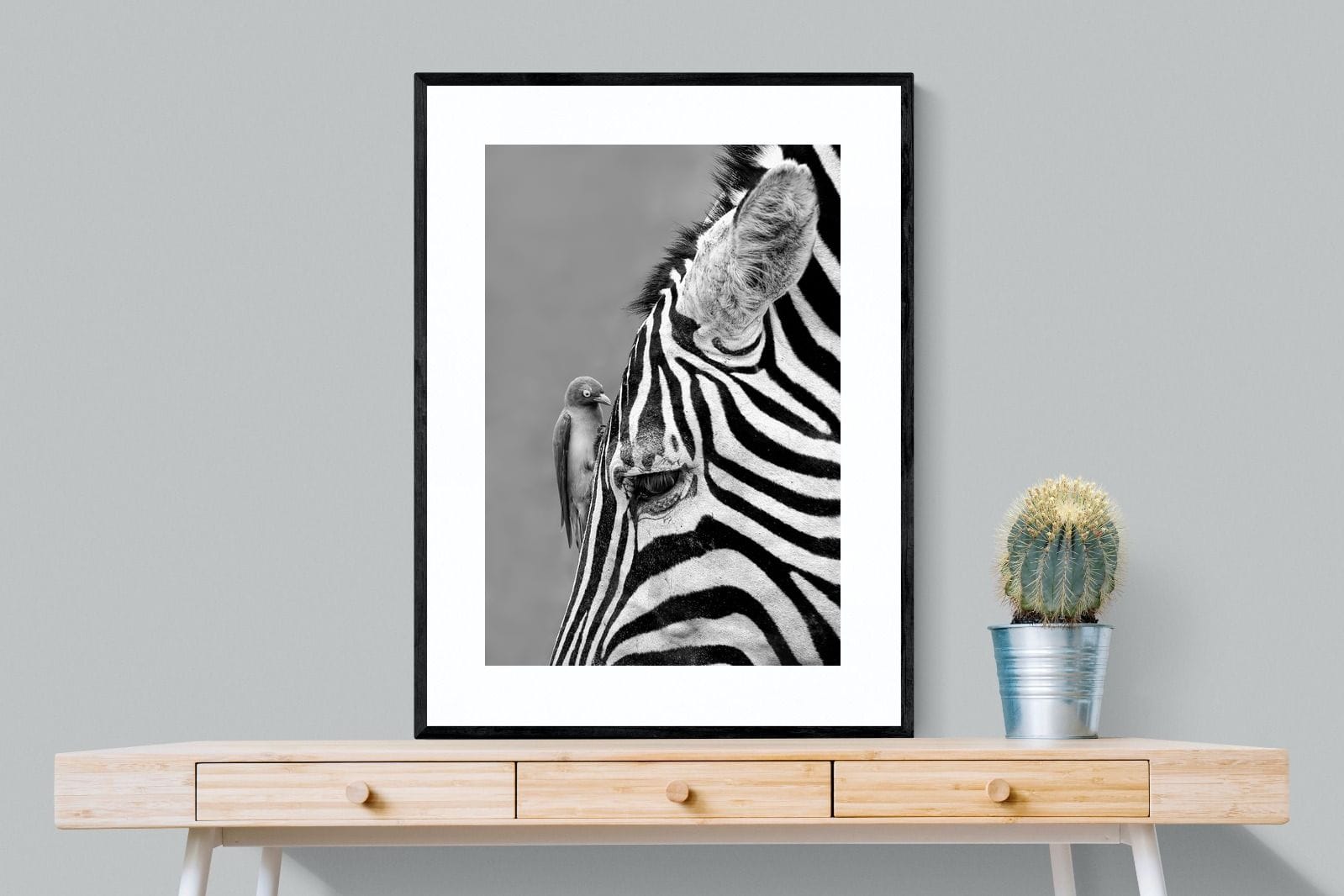 Zebra Sip-Wall_Art-75 x 100cm-Framed Print-Black-Pixalot
