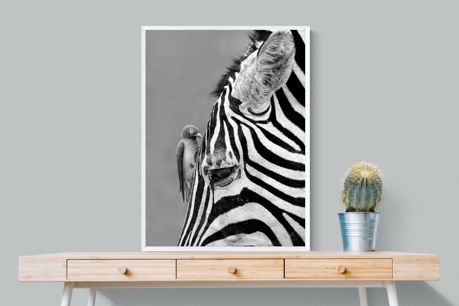Zebra Sip-Wall_Art-75 x 100cm-Mounted Canvas-White-Pixalot