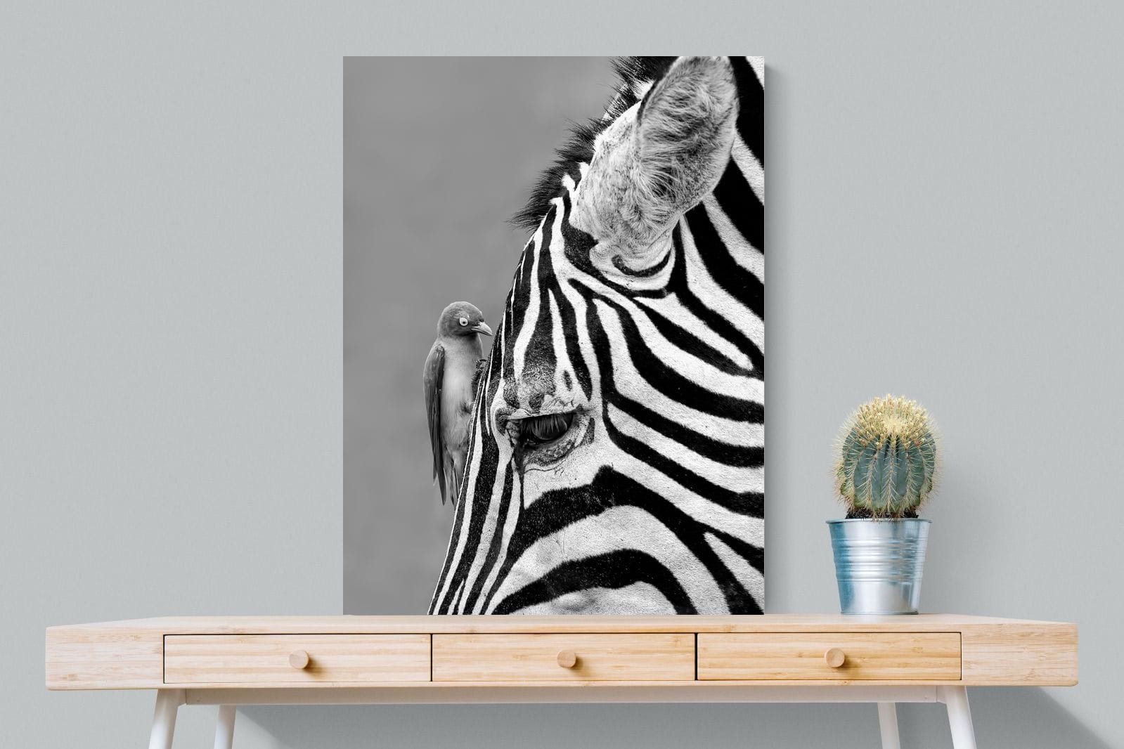 Zebra Sip-Wall_Art-75 x 100cm-Mounted Canvas-No Frame-Pixalot