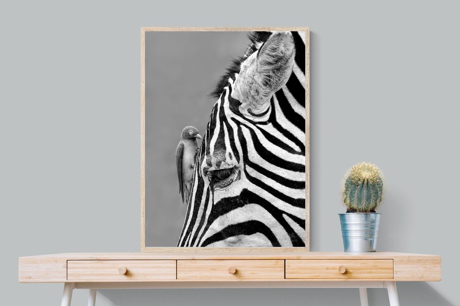 Zebra Sip-Wall_Art-75 x 100cm-Mounted Canvas-Wood-Pixalot