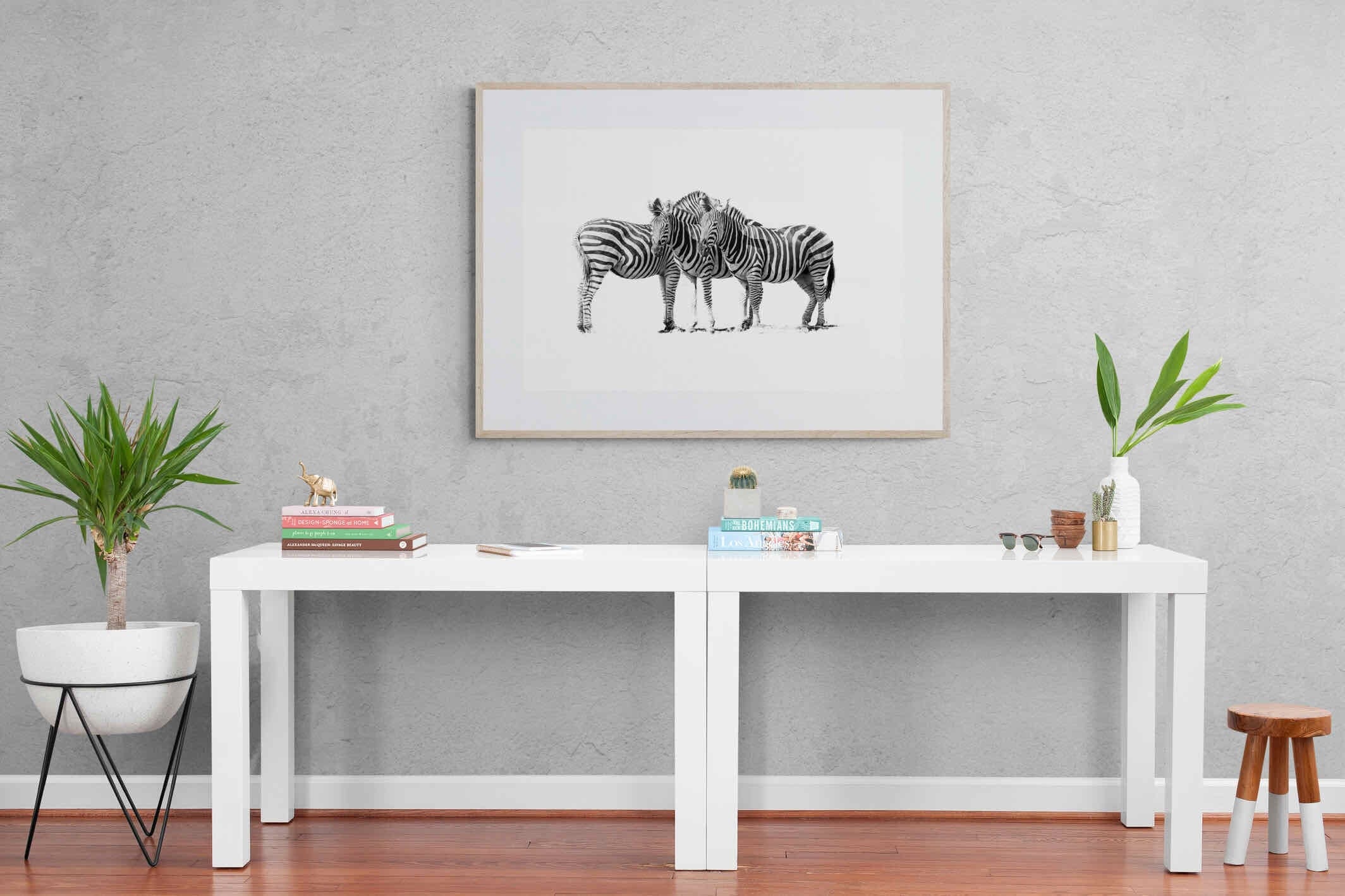 Zebra Trio-Wall_Art-120 x 90cm-Framed Print-Wood-Pixalot