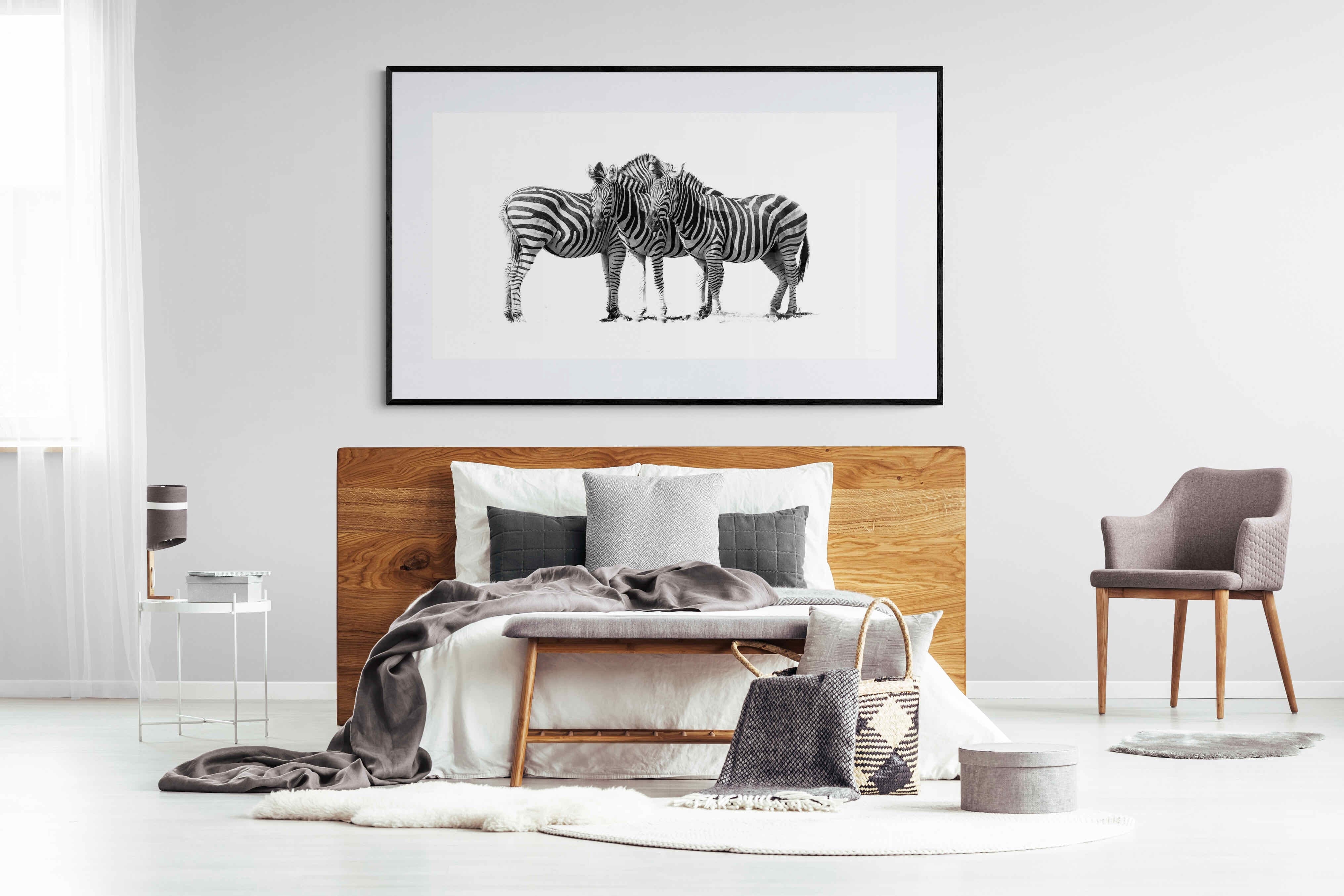 Zebra Trio-Wall_Art-180 x 110cm-Framed Print-Black-Pixalot