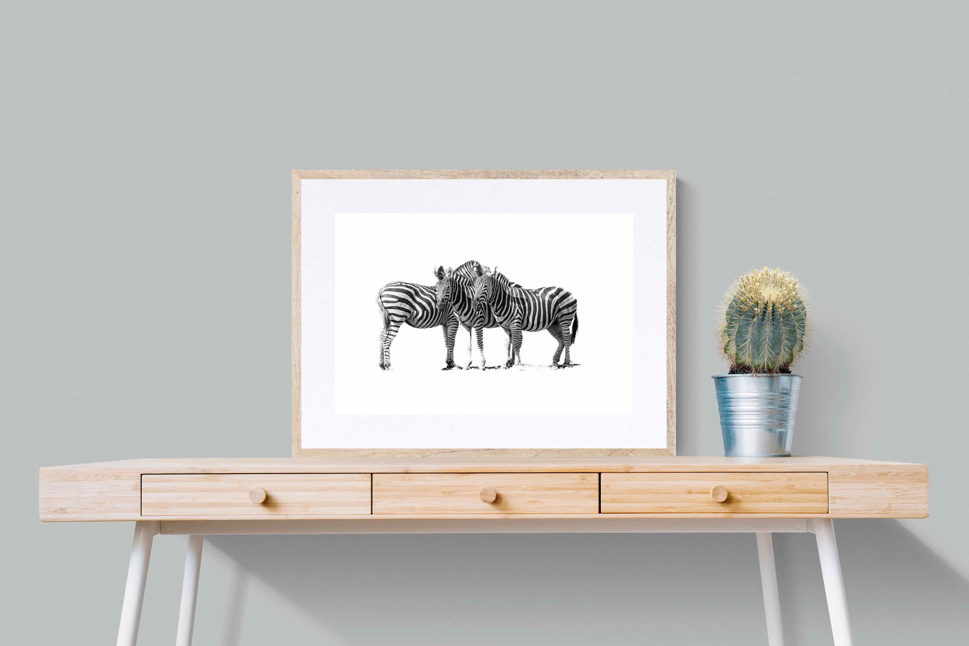 Zebra Trio-Wall_Art-80 x 60cm-Framed Print-Wood-Pixalot