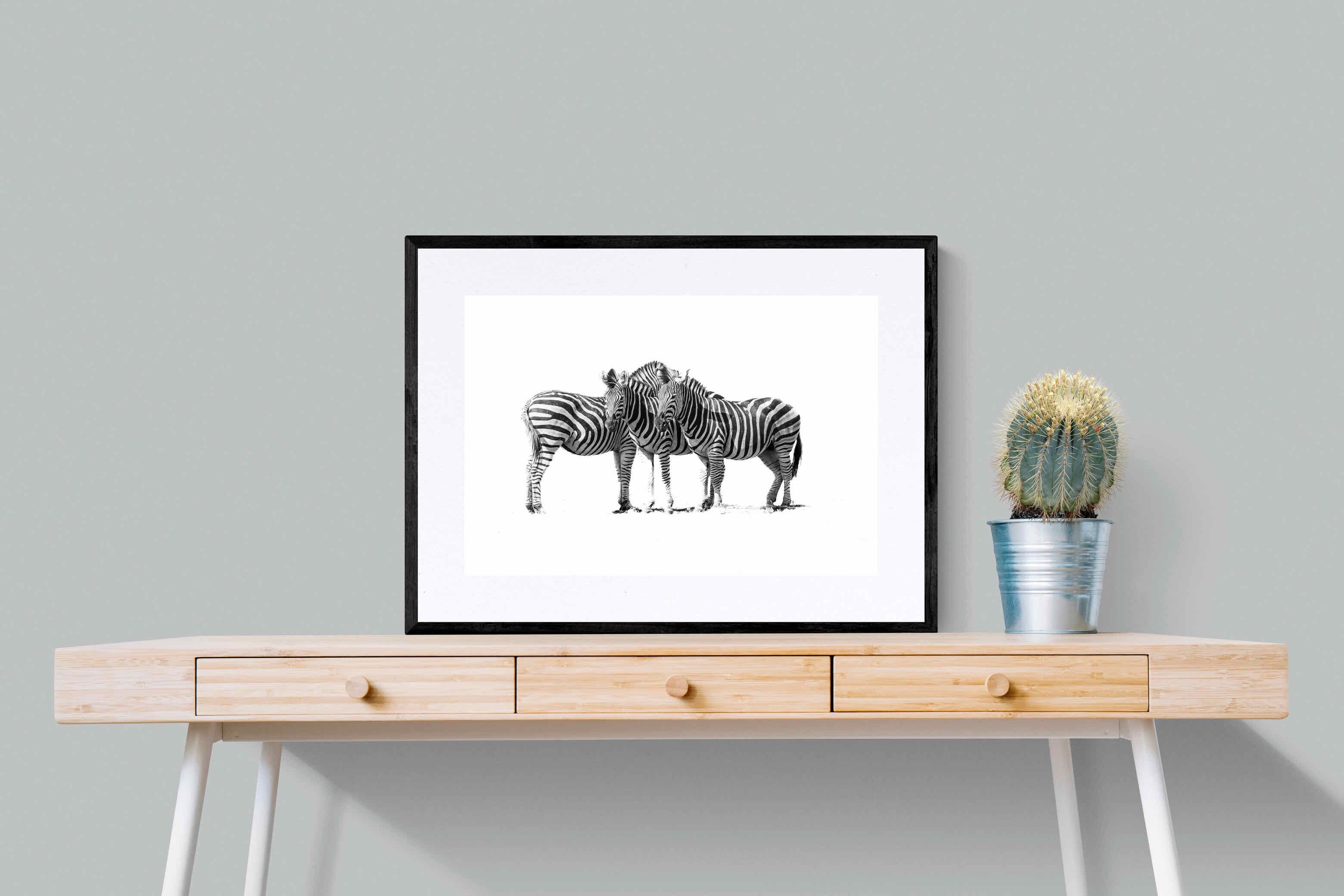 Zebra Trio-Wall_Art-80 x 60cm-Framed Print-Black-Pixalot