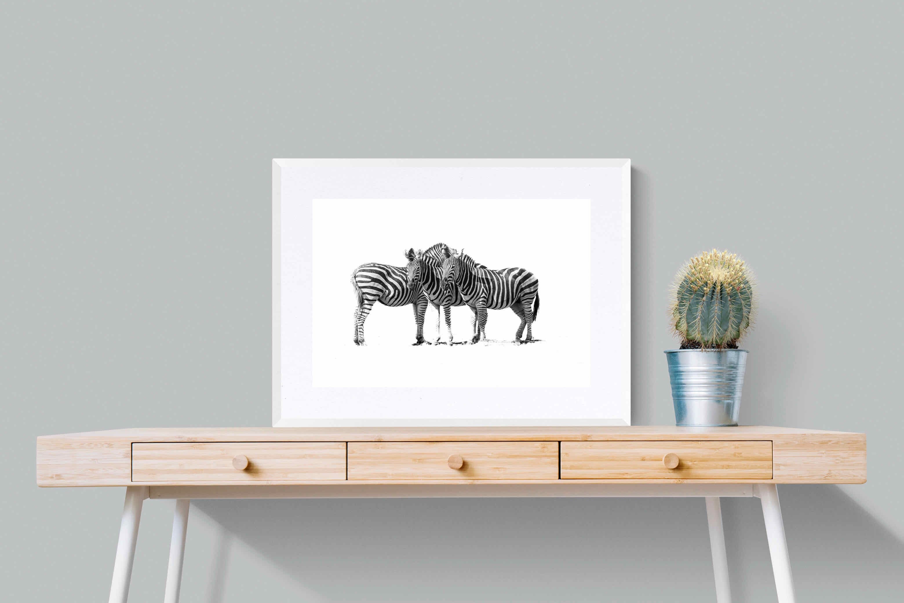 Zebra Trio-Wall_Art-80 x 60cm-Framed Print-White-Pixalot