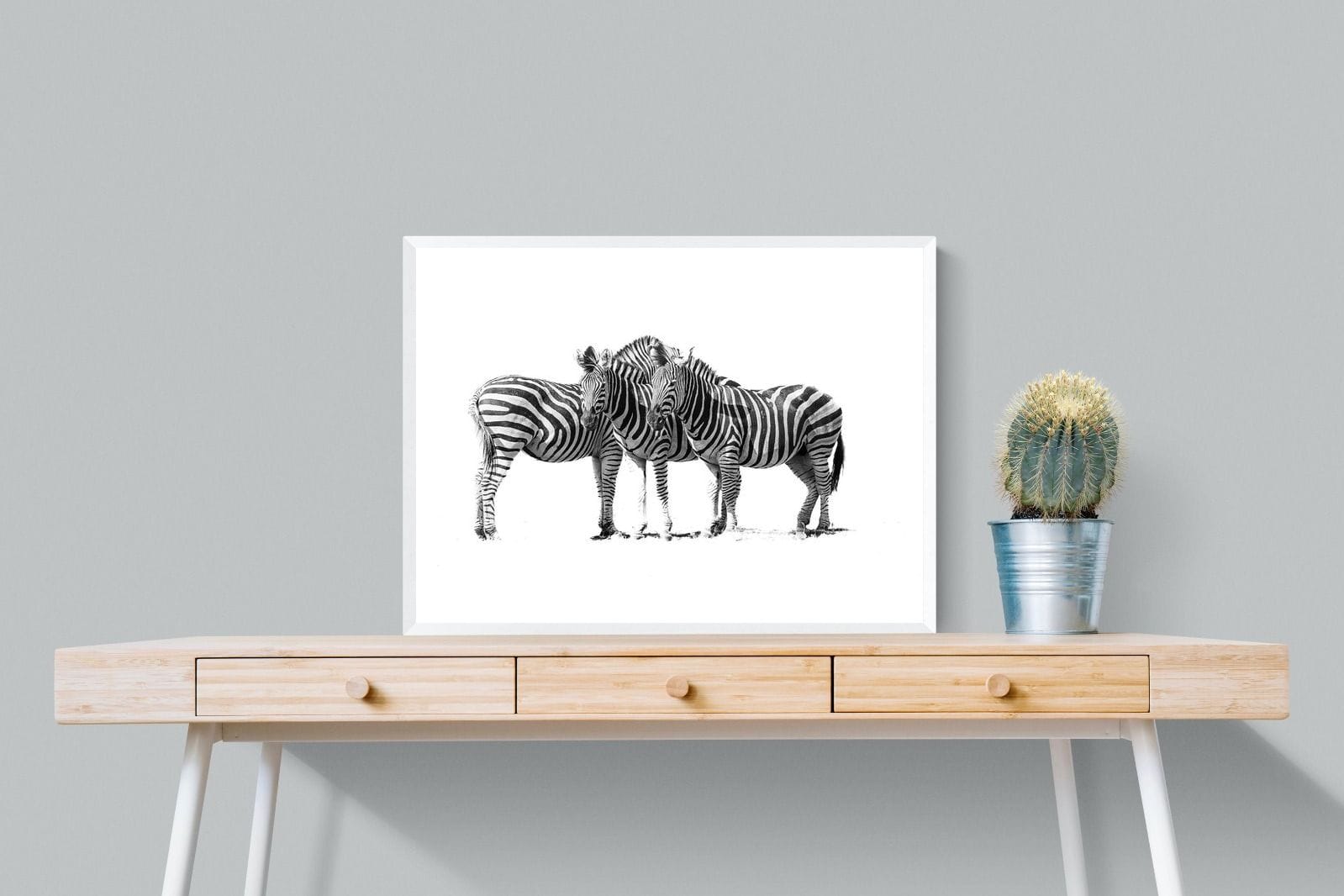 Zebra Trio-Wall_Art-80 x 60cm-Mounted Canvas-White-Pixalot